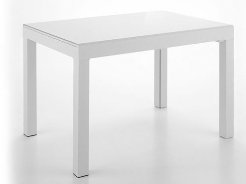 <? echo get_the_title(); ?>